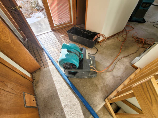 Best Sewage cleanup and water damage restoration  in River Hills, WI