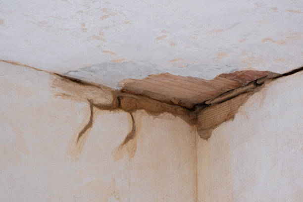 Best Local water damage restoration  in River Hills, WI