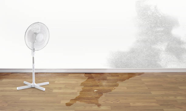 Best Ceiling water damage repair  in River Hills, WI