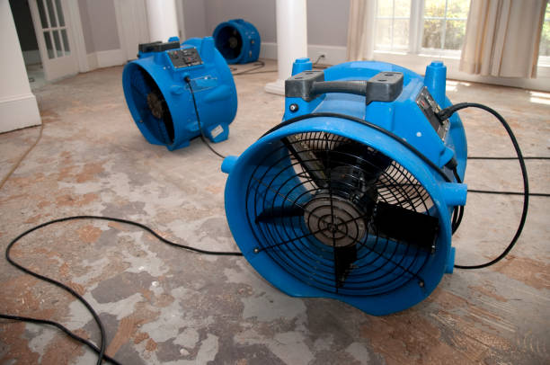 Best Water damage restoration near me  in River Hills, WI