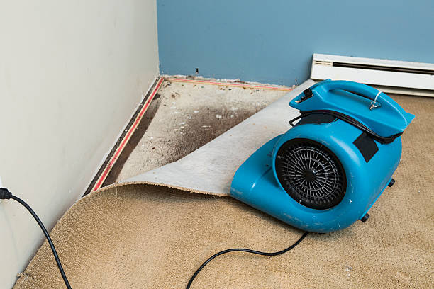 Best Commercial water damage restoration  in River Hills, WI