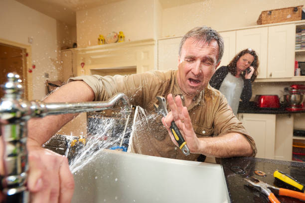 Best Professional water damage repair  in River Hills, WI
